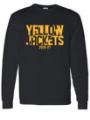 Picture of Iowa High/Middle School LONG Sleeve T-Shirt