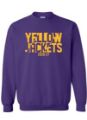 Picture of Iowa High/Middle School SWEATSHIRT
