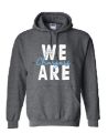 Picture of Lake Charles Charter Academy GREY Hoodie