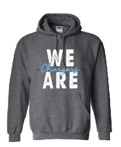 Picture of Lake Charles Charter Academy GREY Hoodie