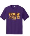 Picture of Iowa High/Middle School DRI FIT Shirt
